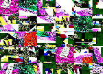 ENTENTE SACREE.gif